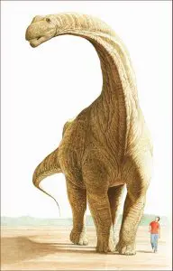 ArgentinosaurusHuinculensis