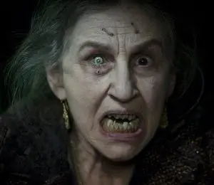 Drag Me To Hell movie image_Mountain Lion 