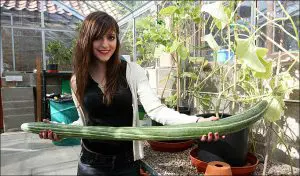 Chica con pepino gigante ¡Este pedazo de pepino de mi novio salió tirado de precio!