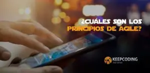 cuales son los 12 principios de agile