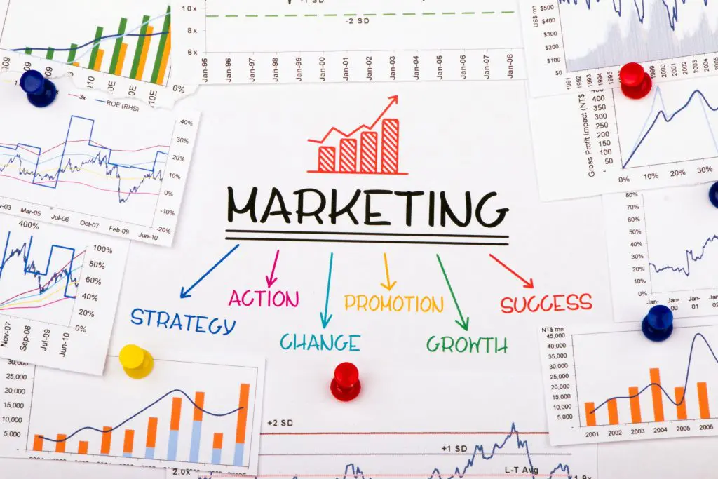 ¿Cómo convertirse en Experto en Marketing Digital? 1 Experto en Marketing Digital