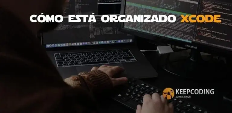 Cómo está organizado Xcode