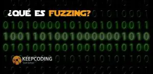 Qué es Fuzzing
