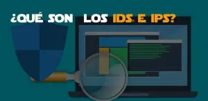 qué son los ids e ips