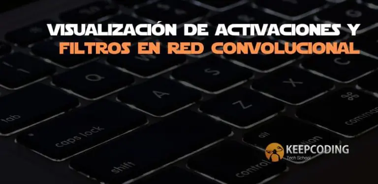 Visualización de activaciones y filtros en red convolucional