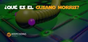 Qué es el gusano Morris