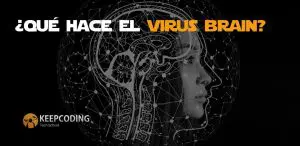 Qué hace el virus Brain