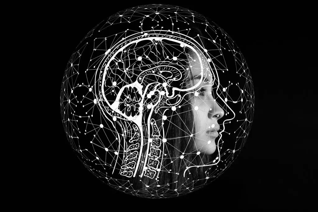 Principios del data quality en la estrategia de negocio 1 cerebro inteligencia artificial