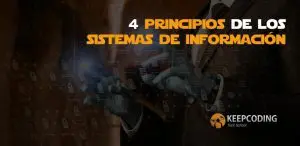 principios de los sistemas de información
