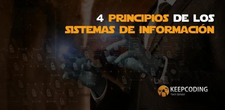 principios de los sistemas de información