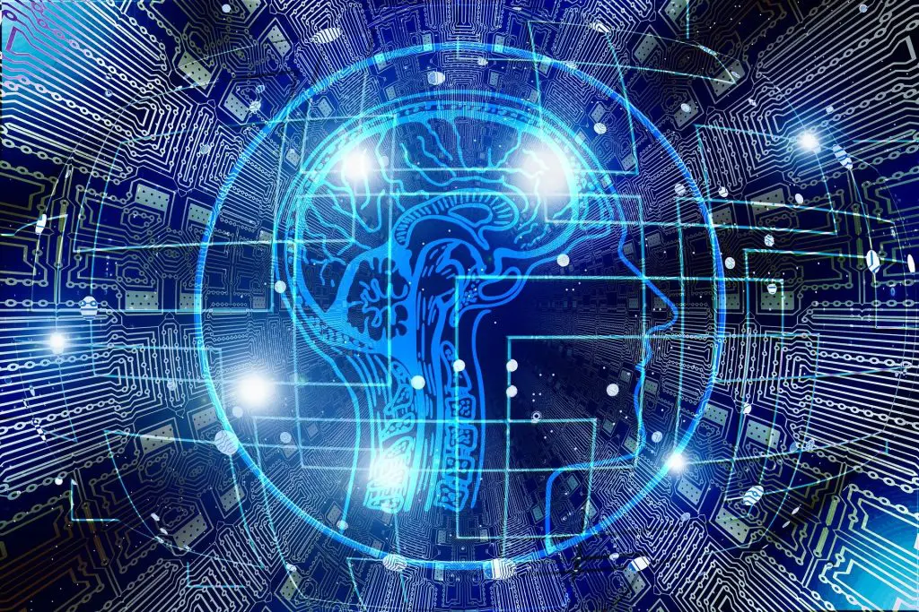 Elementos de los datos y datos críticos 1 metadatos