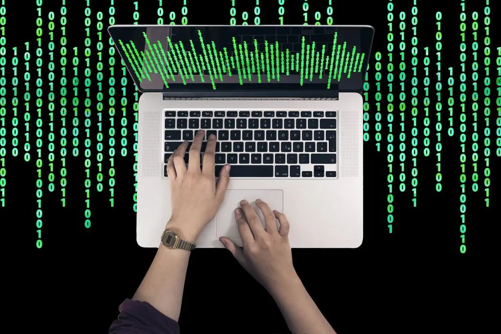 administrador y custodio de datos