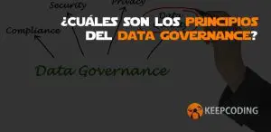 principios del data governance