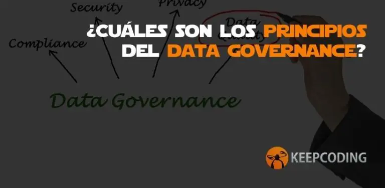 principios del data governance
