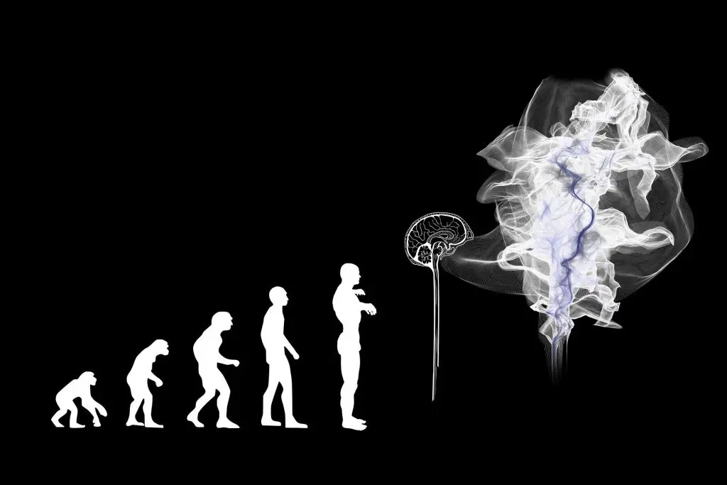 evolución de la automatización