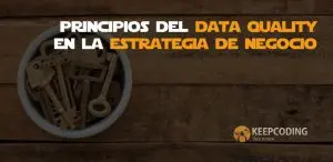 principios del data quality