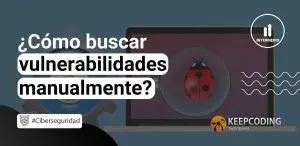 Cómo buscar vulnerabilidades manualmente