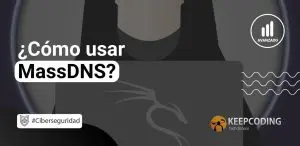 Cómo usar MassDNS