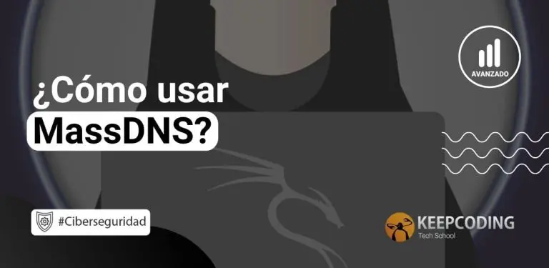Cómo usar MassDNS