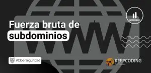 Fuerza bruta de subdominios