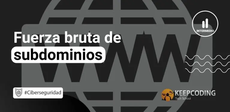 Fuerza bruta de subdominios