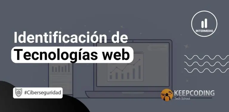 Identificación de tecnologías web