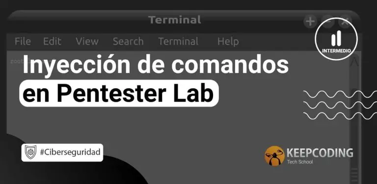 Inyección de comandos en PentesterLab
