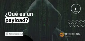 Qué es un payload