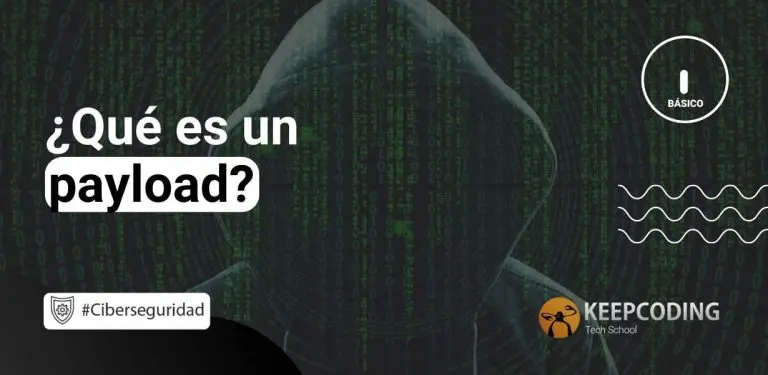 Qué es un payload