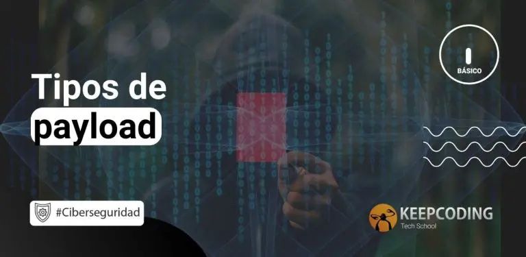 Tipos de payload