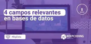 4 campos relevantes en bases de datos