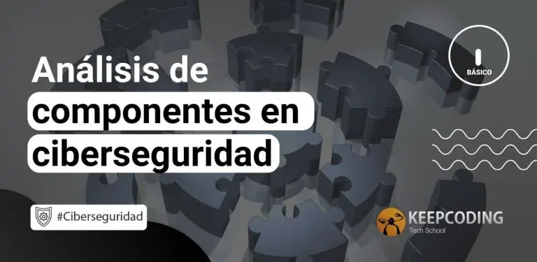 Análisis de componentes en ciberseguridad