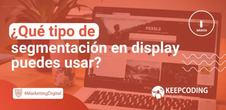 Qué tipo de segmentación en display puedes usar
