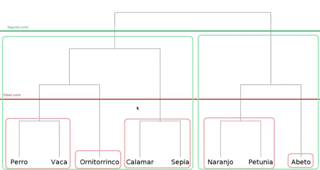 clustering o agrupamiento: ejemplo