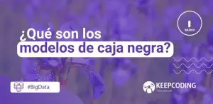 modelos de caja negra