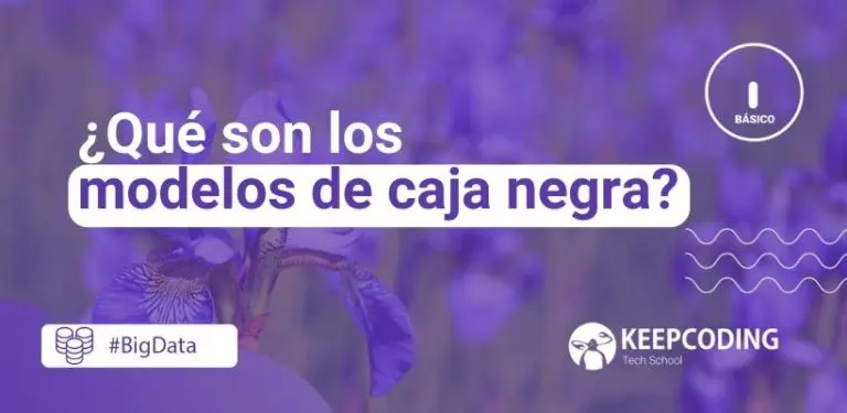 modelos de caja negra