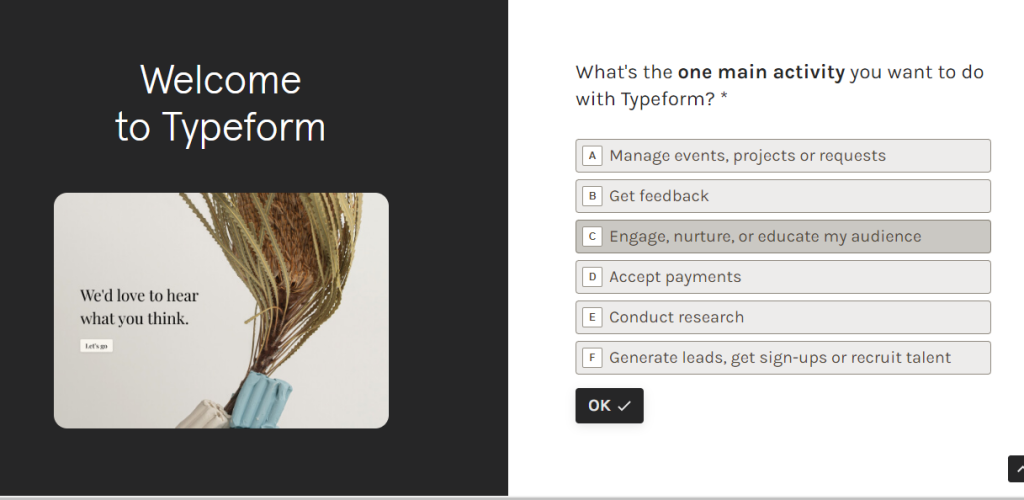 Cómo utilizar Typeform: interfaz gráfica y herramientas 1 Cómo utilizar Typeform