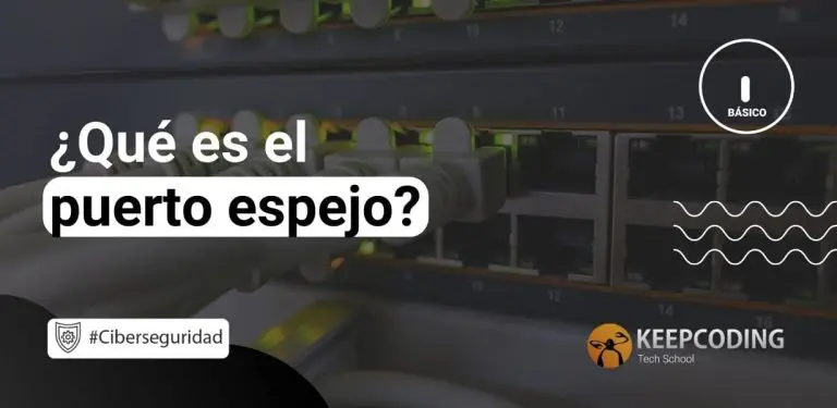 Qué es el puerto espejo
