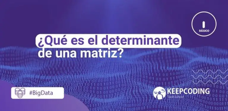 determinante de una matriz