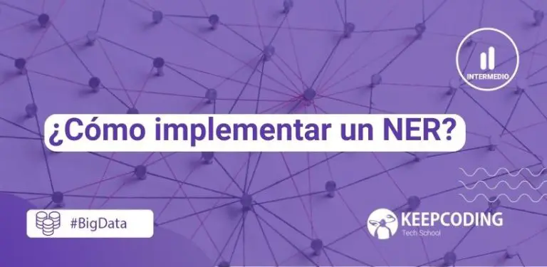 implementar un NER