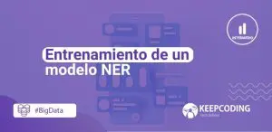 Entrenamiento de un modelo NER