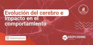 Evolución del cerebro e impacto en el comportamiento