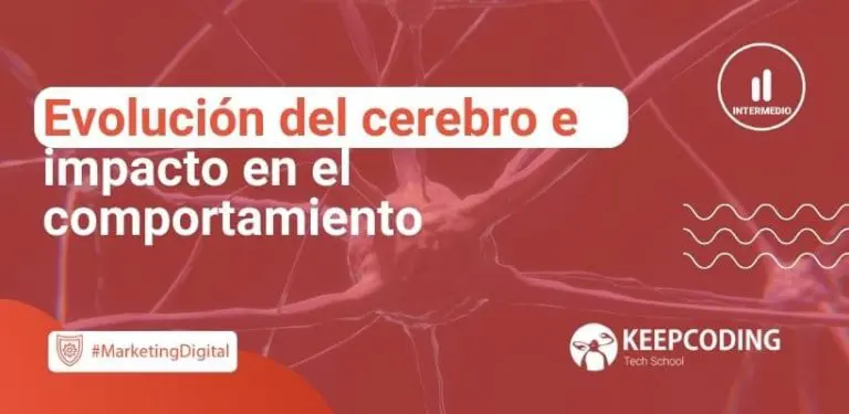 Evolución del cerebro e impacto en el comportamiento