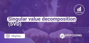 Singular value decomposition
