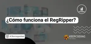 RegRipper
