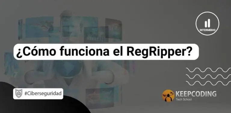 RegRipper