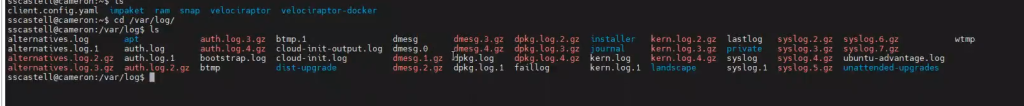 ¿Qué es el análisis de directorios en Linux? 1 análisis de directorios en Linux
