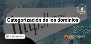 Categorización de los dominios
