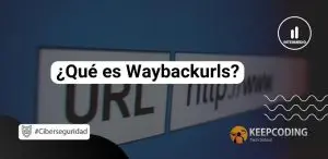 Waybackurls