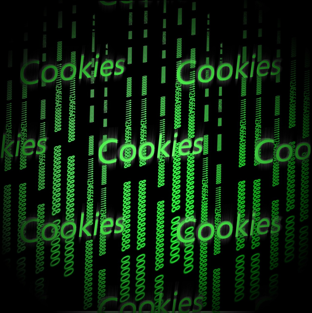 Cómo funciona cookieParser en Express.js 2 cookieParser